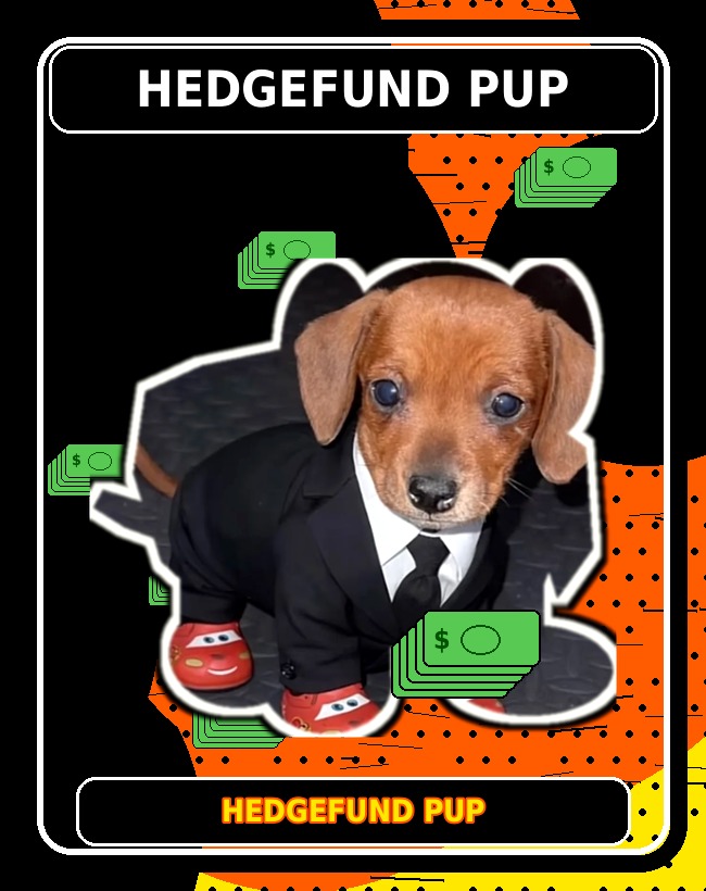 Hedgefund Pup