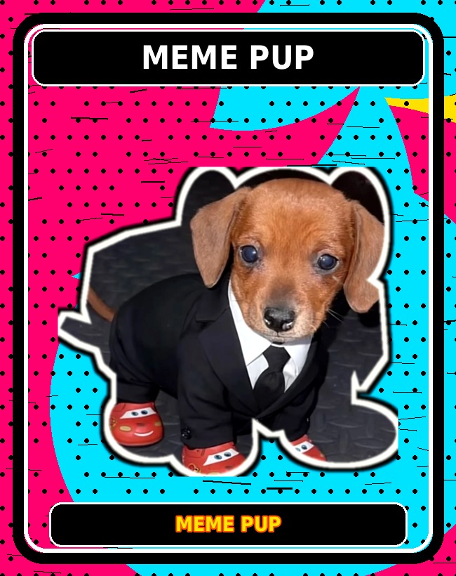 Meme Pup