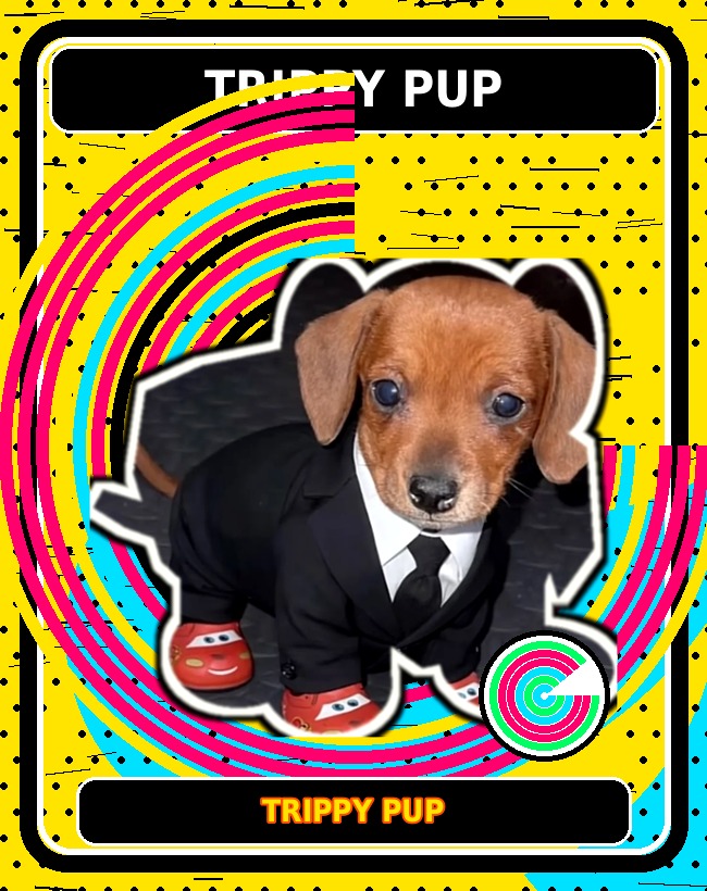 Trippy Pup